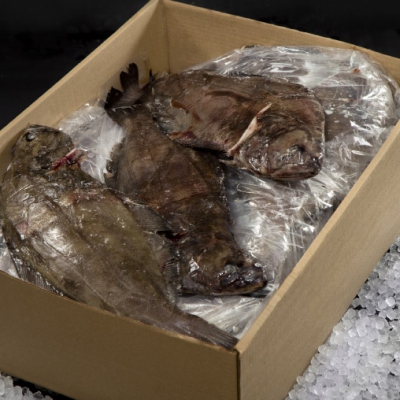 03_turbot_whole_frozen_2x10kg_case